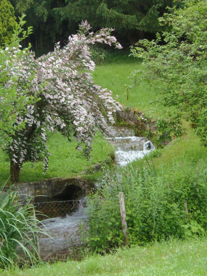 La Chabotine Panzió Allas-Les-Mines Kültér fotó