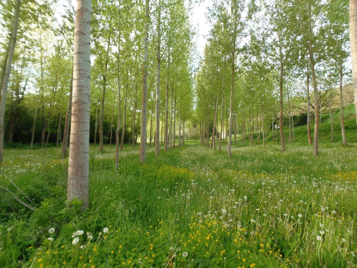 La Chabotine Panzió Allas-Les-Mines Kültér fotó