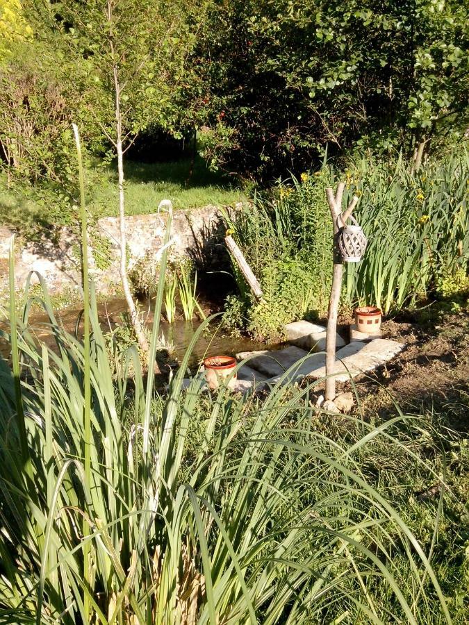 La Chabotine Panzió Allas-Les-Mines Kültér fotó